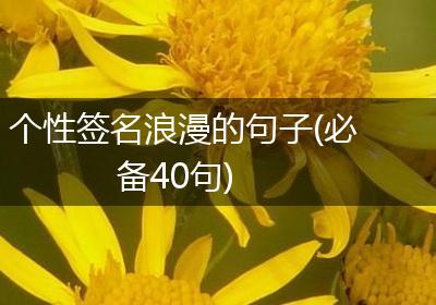 个性签名浪漫的句子(必备40句)
