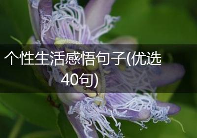 个性生活感悟句子(优选40句)