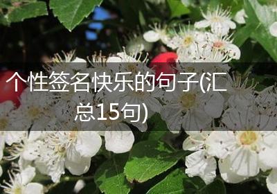 个性签名快乐的句子(汇总15句)