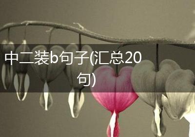 中二装b句子(汇总20句)