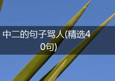 中二的句子骂人(精选40句)