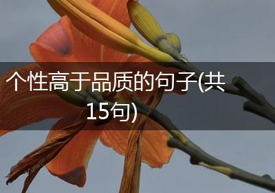 个性高于品质的句子(共15句)