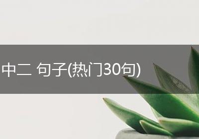 中二 句子(热门30句)