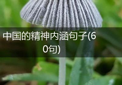 中国的精神内涵句子(60句)
