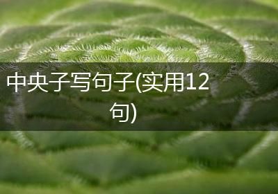 中央子写句子(实用12句)
