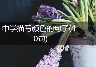 中学描写颜色的句子(40句)