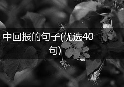 中回报的句子(优选40句)