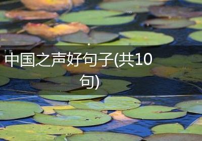 中国之声好句子(共10句)