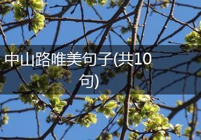 中山路唯美句子(共10句)