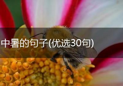 中暑的句子(优选30句)