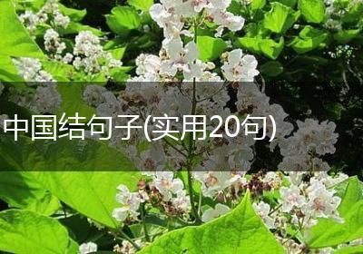 中国结句子(实用20句)