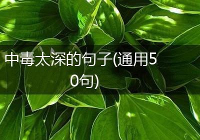 中毒太深的句子(通用50句)