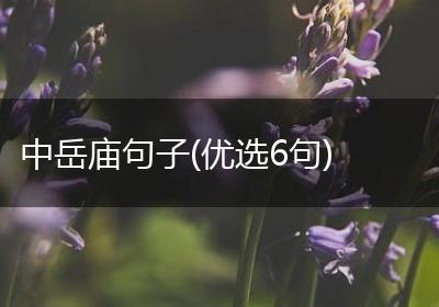 中岳庙句子(优选6句)