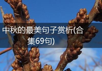 中秋的最美句子赏析(合集69句)