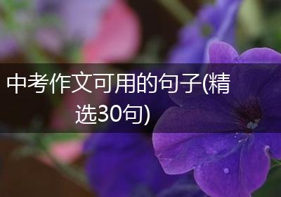 中考作文可用的句子(精选30句)