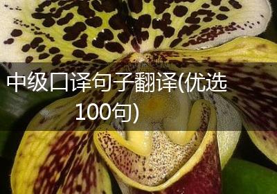中级口译句子翻译(优选100句)