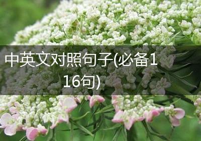 中英文对照句子(必备116句)