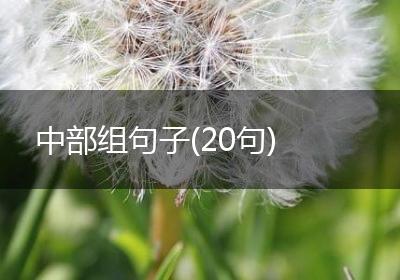 中部组句子(20句)