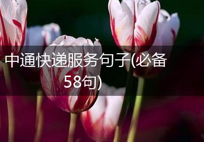 中通快递服务句子(必备58句)