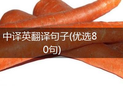 中译英翻译句子(优选80句)