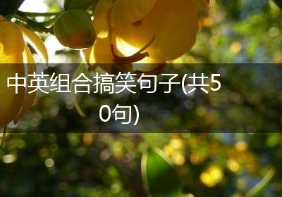中英组合搞笑句子(共50句)