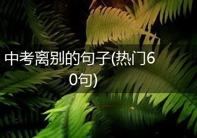 中考离别的句子(热门60句)