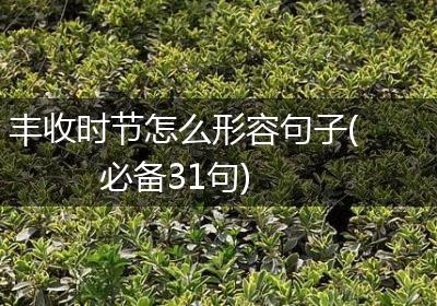 丰收时节怎么形容句子(必备31句)