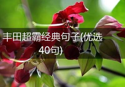 丰田超霸经典句子(优选40句)