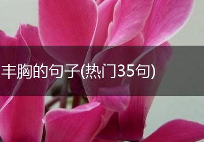 丰胸的句子(热门35句)