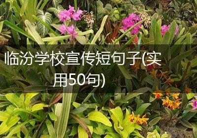 临汾学校宣传短句子(实用50句)