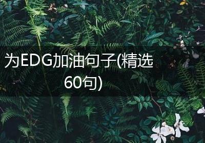 为EDG加油句子(精选60句)