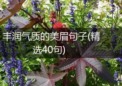 丰润气质的美眉句子(精选40句)