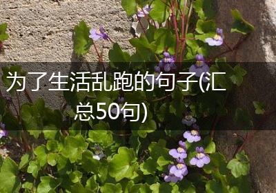为了生活乱跑的句子(汇总50句)