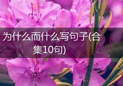 为什么而什么写句子(合集10句)