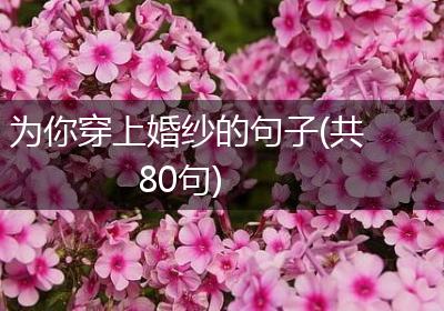 为你穿上婚纱的句子(共80句)