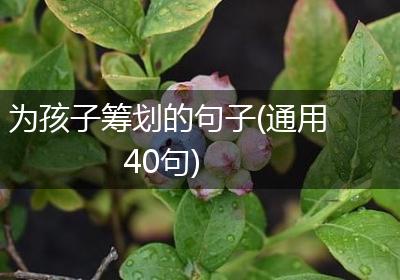 为孩子筹划的句子(通用40句)