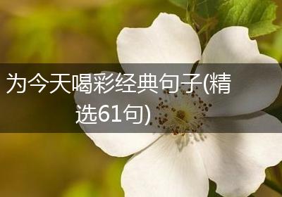 为今天喝彩经典句子(精选61句)