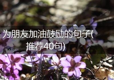为朋友加油鼓励的句子(推荐40句)
