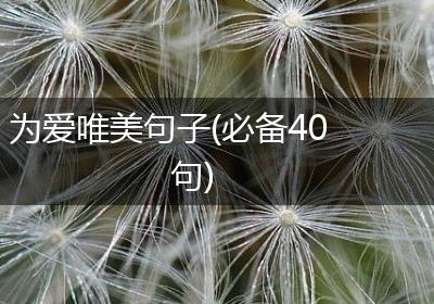 为爱唯美句子(必备40句)