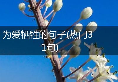 为爱牺牲的句子(热门31句)