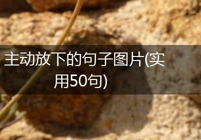 主动放下的句子图片(实用50句)
