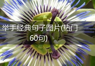 举手经典句子图片(热门60句)
