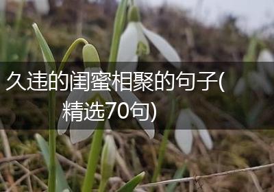 久违的闺蜜相聚的句子(精选70句)