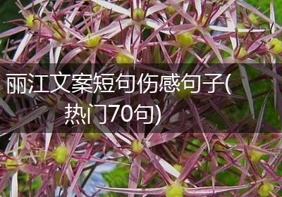 丽江文案短句伤感句子(热门70句)