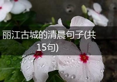 丽江古城的清晨句子(共15句)