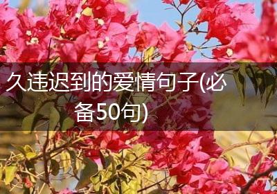 久违迟到的爱情句子(必备50句)