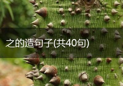 之的造句子(共40句)
