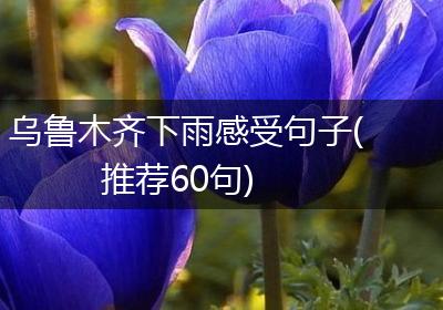乌鲁木齐下雨感受句子(推荐60句)