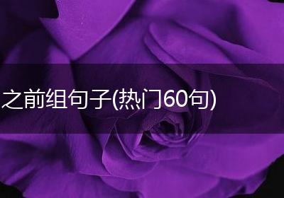之前组句子(热门60句)