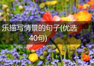 乐描写情景的句子(优选40句)